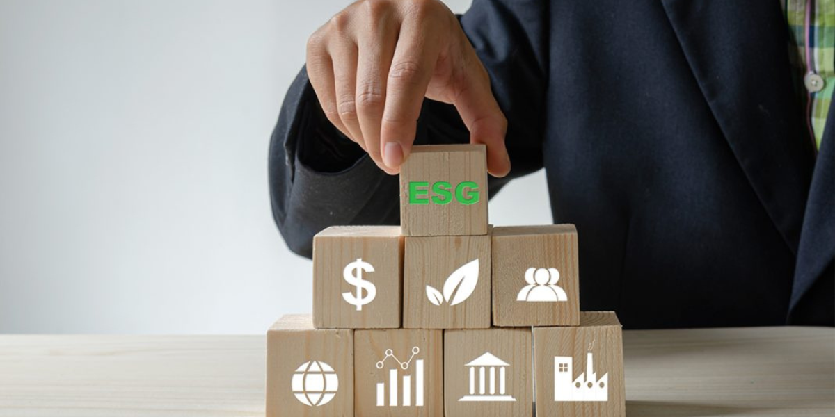 Fique por dentro do termo ESG