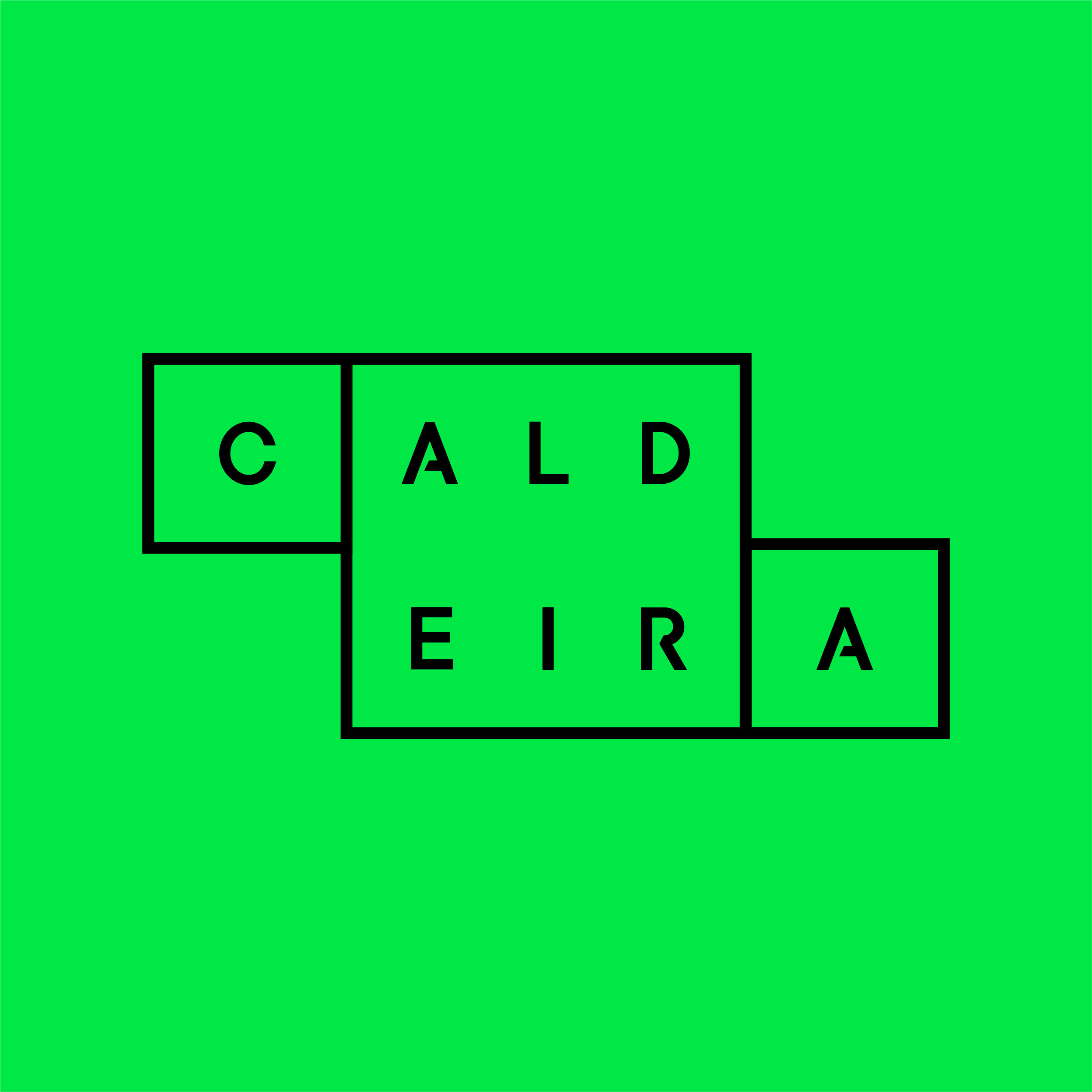 Instituto Caldeira