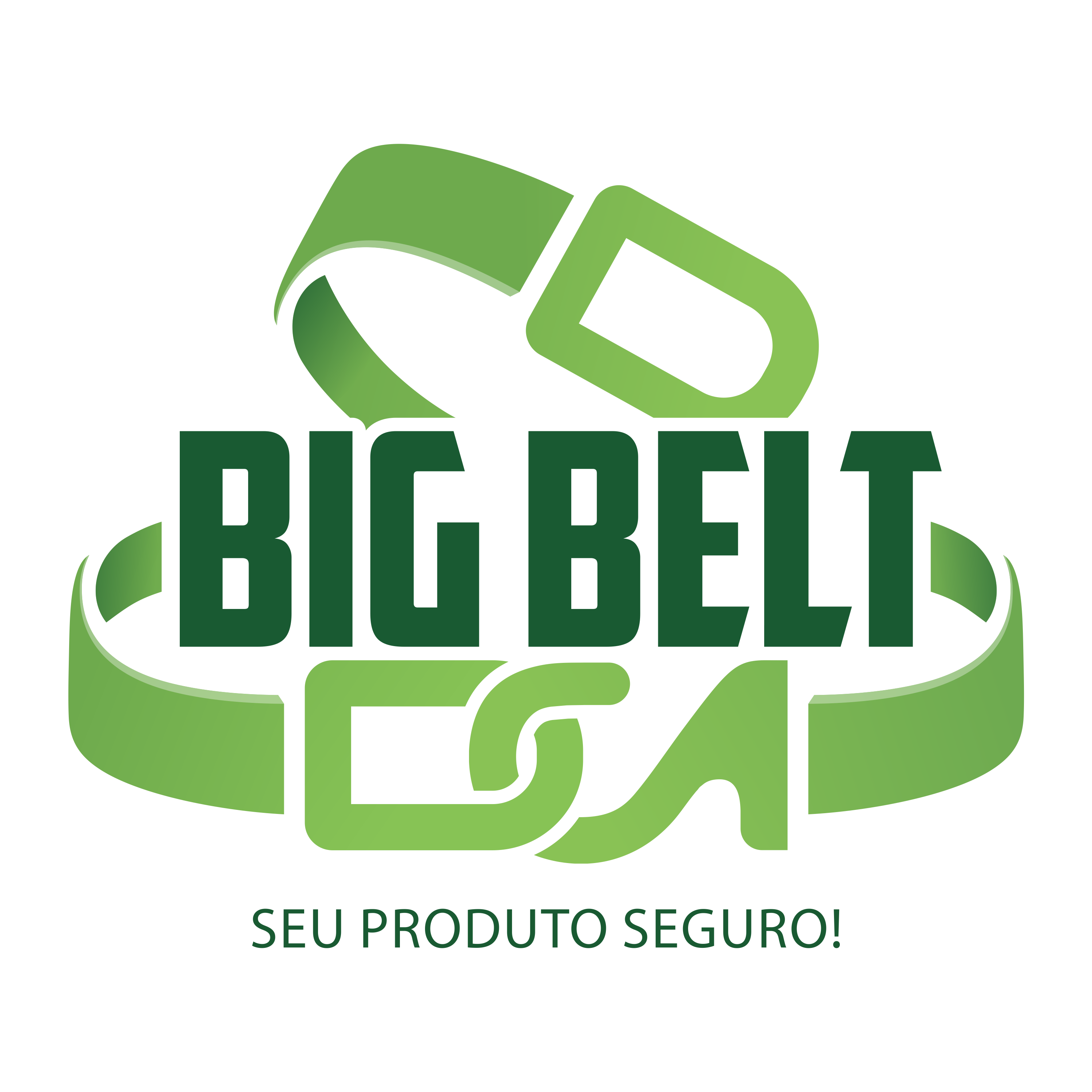 Logo do negócio Big Belt