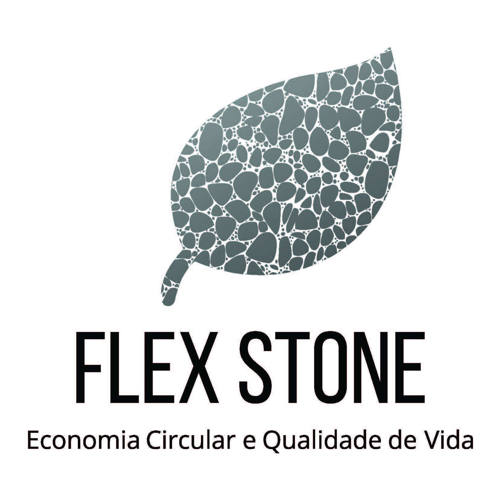 Logo do negócio FLEX STONE TECNOLOGIAS SUSTENTAVEIS LTDA