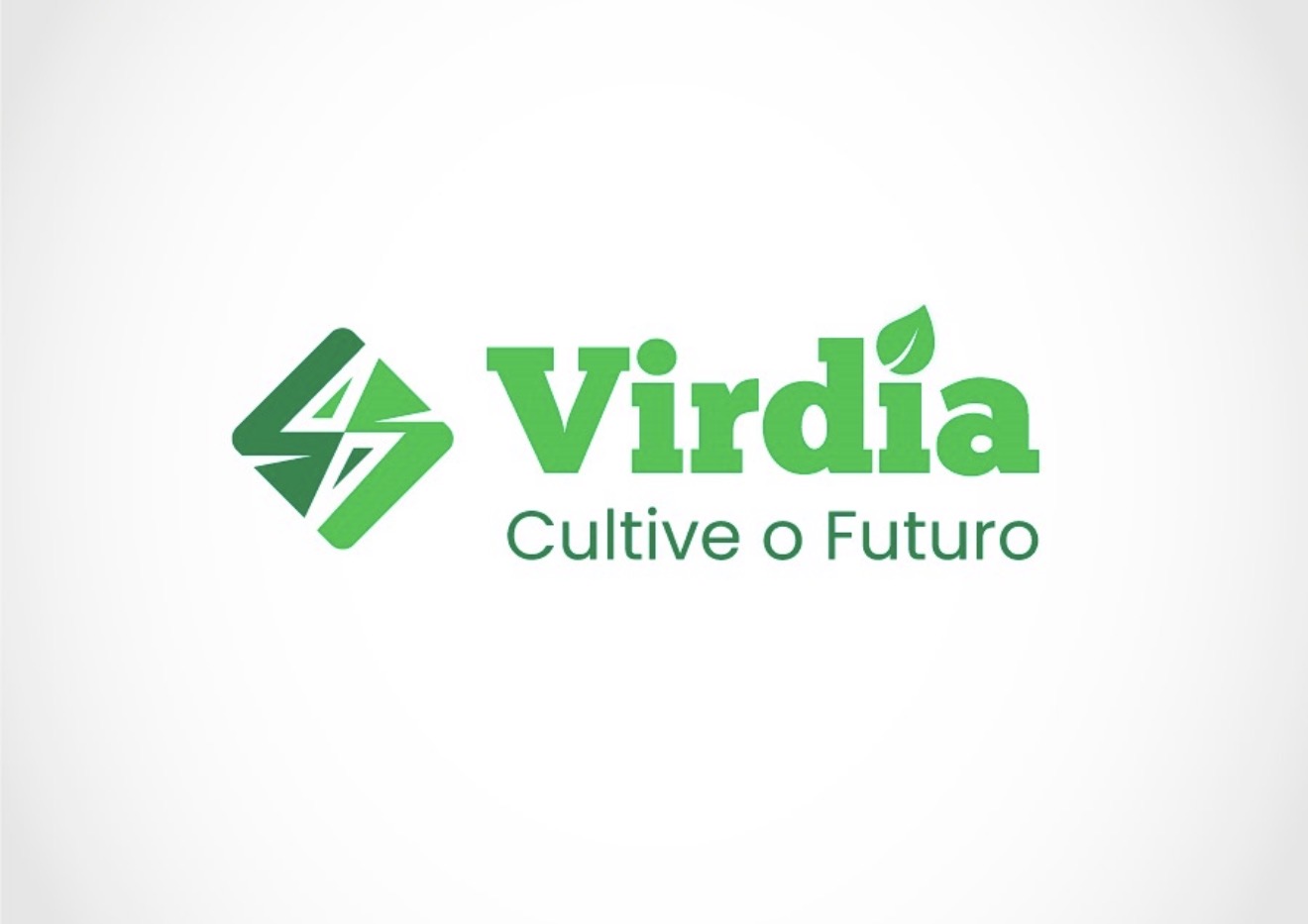 Logo do negócio Virdia