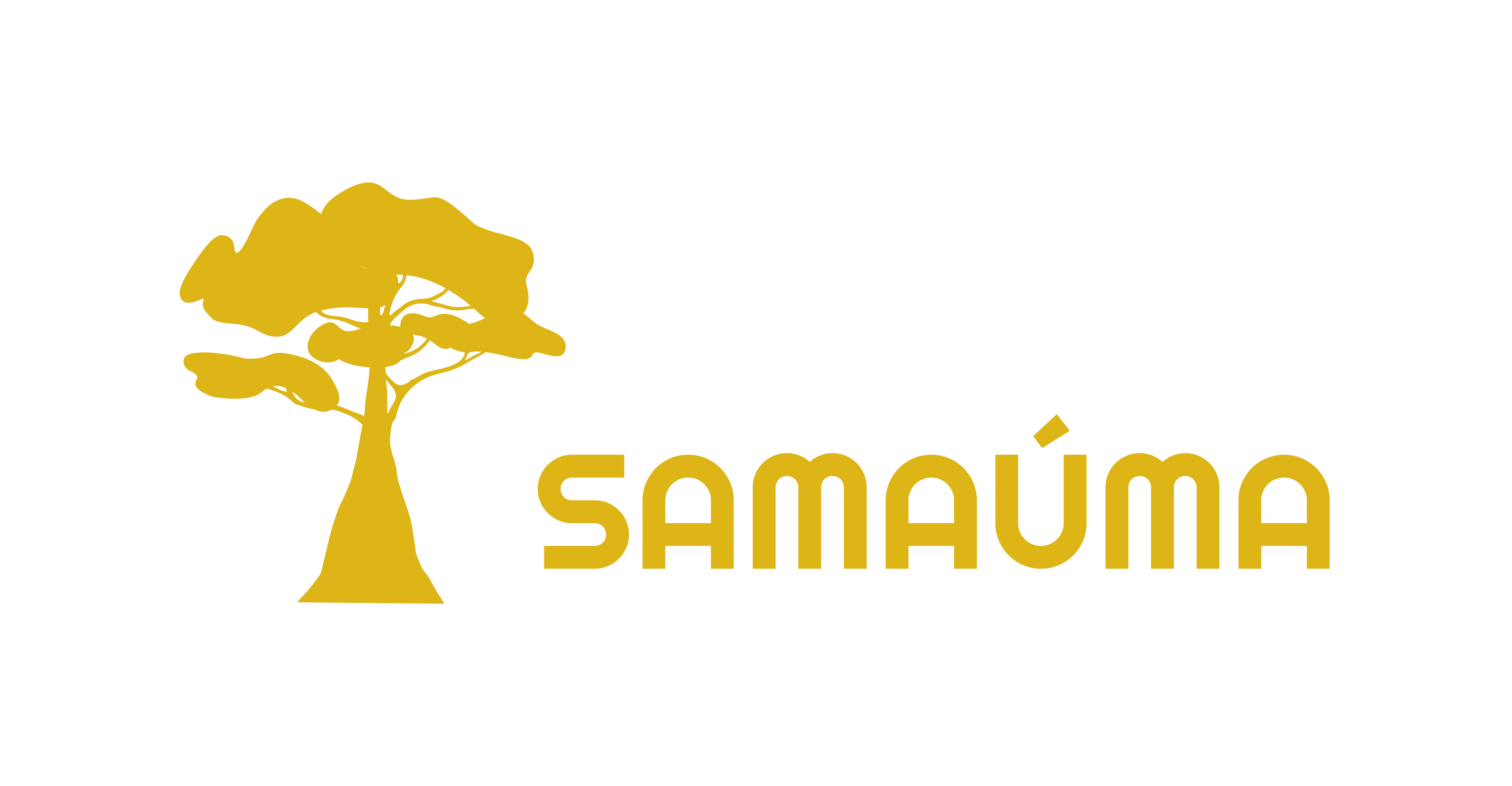 GESTÃO SAMAÚMA