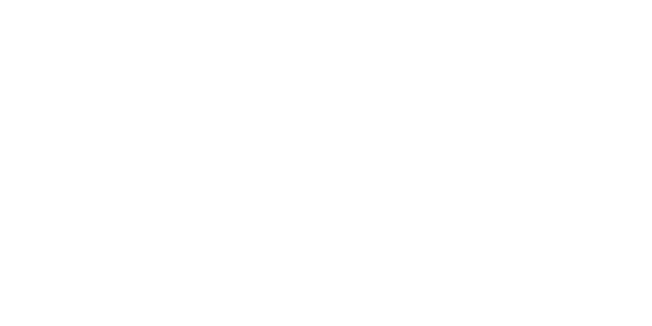 Yunus Negócios Sociais Brasil